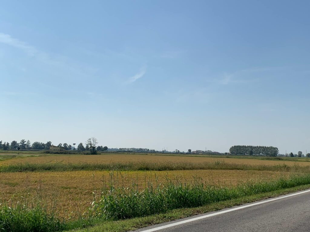 Potrebbe essere un'immagine raffigurante nebbia, erba, strada e orizzonte