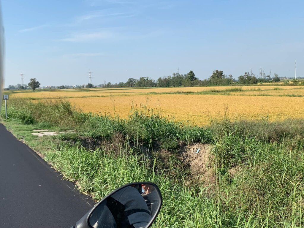 Potrebbe essere un'immagine raffigurante strada, mulino a vento, erba e orizzonte